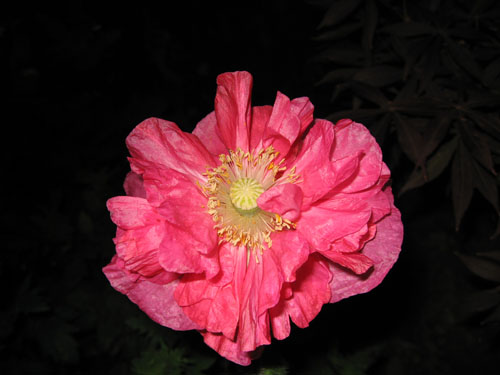 �����������˲�