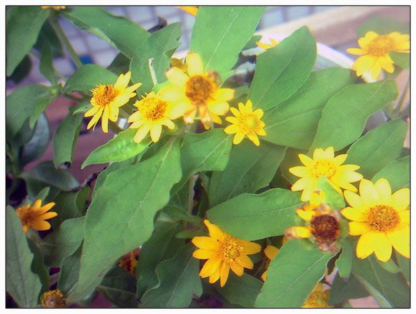 �ҵ���Щ����