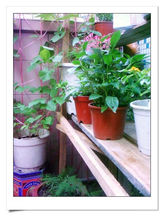 �ҵ���Щ����