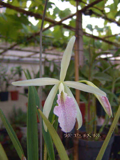 06�����������ʯ���У�