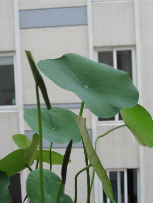 �л�����˯��