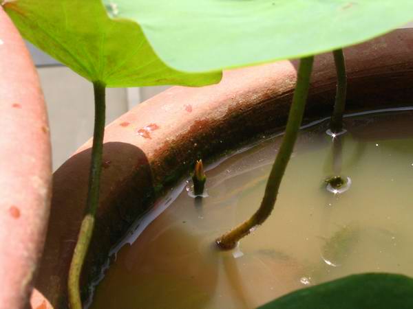 �л�����˯��