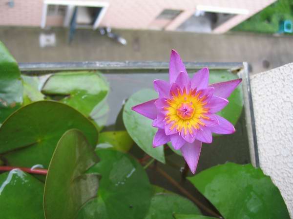 �л�����˯��