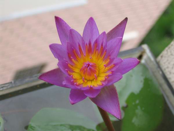 �л�����˯��