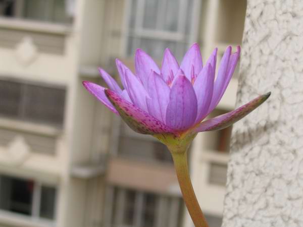 �л�����˯��