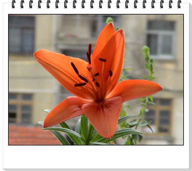 06��һЩ����--�ƶ�����۹���