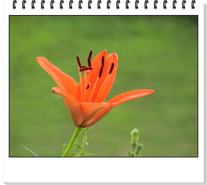 06��һЩ����--�ƶ�����۹���