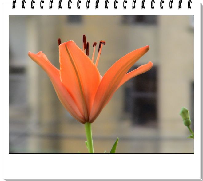 06��һЩ����--�ƶ�����۹���