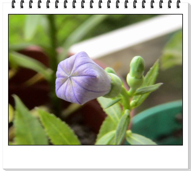 06��һЩ����--�ƶ�����۹���