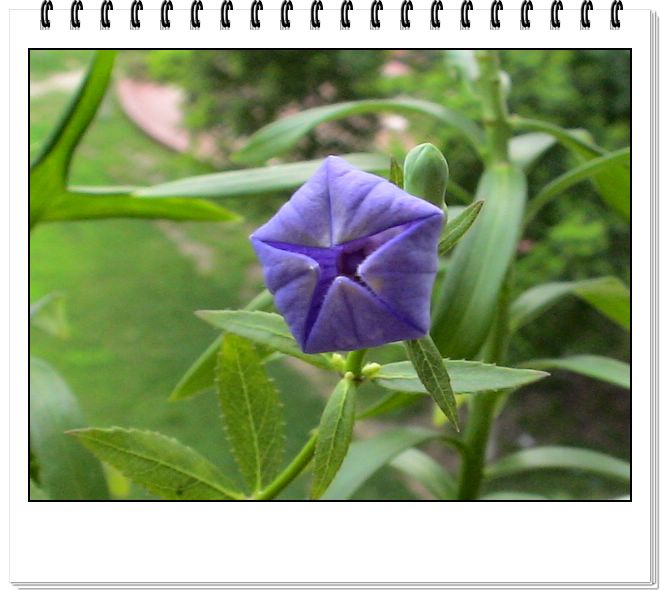 06��һЩ����--�ƶ�����۹���