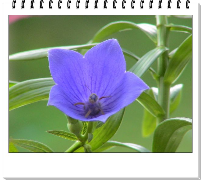 06��һЩ����--�ƶ�����۹���