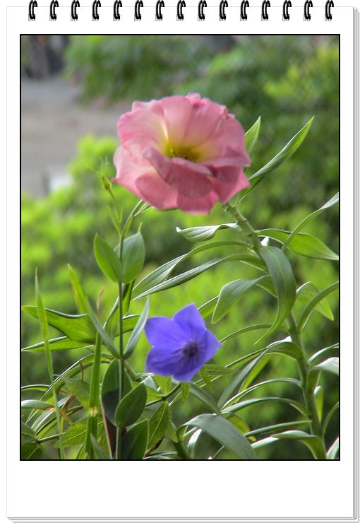 06��һЩ����--�ƶ�����۹���