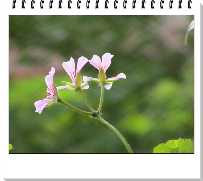 06��һЩ����--�ƶ�����۹���