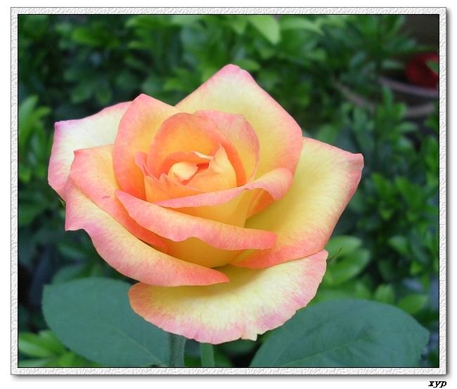 �Ҽһ��ڿ������¼�