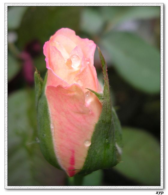 �Ҽһ��ڿ������¼�