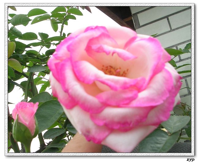 �Ҽһ��ڿ������¼�