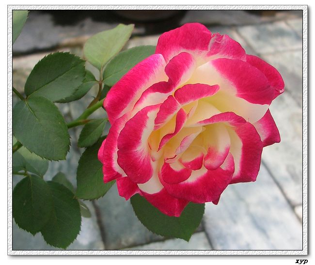 �Ҽһ��ڿ������¼�