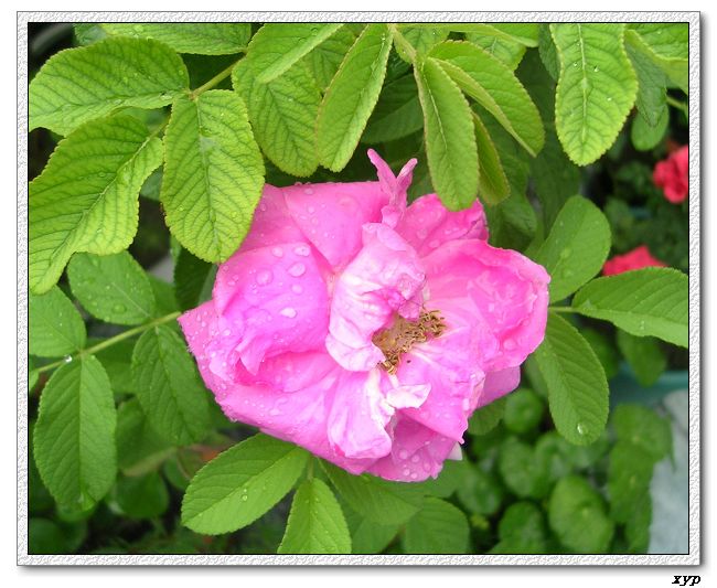 �Ҽһ��ڿ������¼�