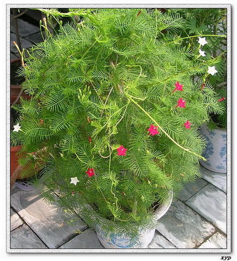 ���ܵ��¼�(��ɫ���ܿ�����)