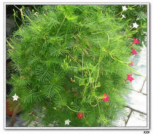 ���ܵ��¼�(��ɫ���ܿ�����)