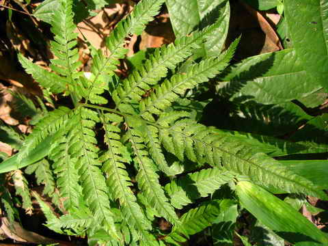 ���N�Nާ������