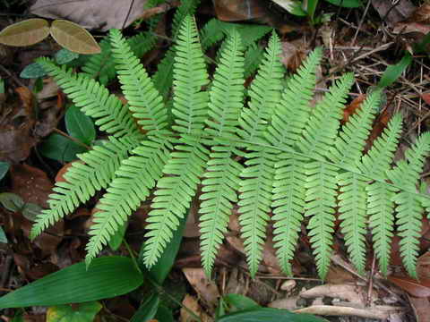 ���N�Nާ������