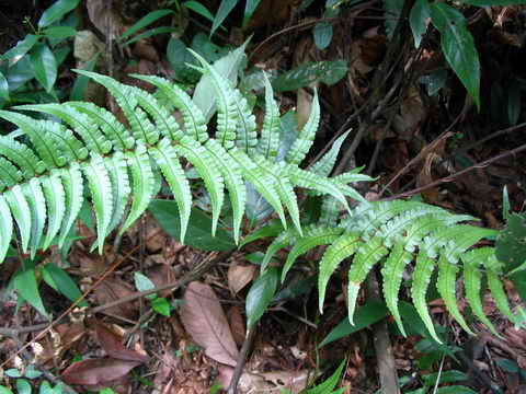 ���N�Nާ������