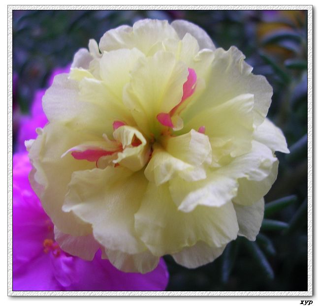 ���ĵ�̫����