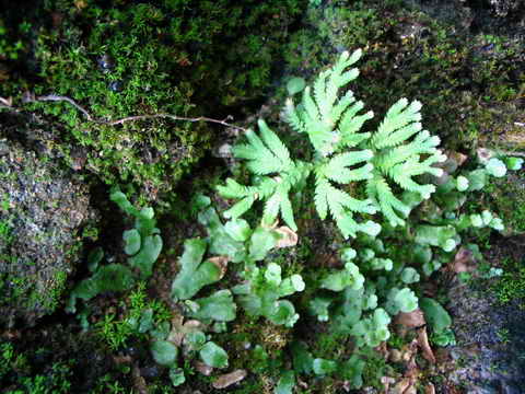 ���N�Nާ������