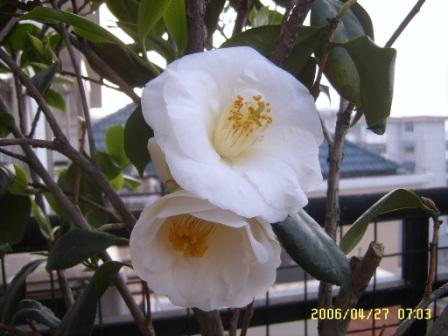 �ҵ����¼�(����ͼƬ)