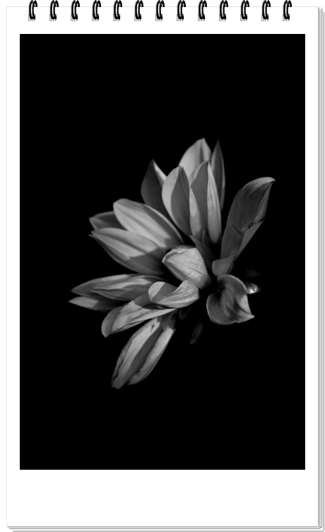 ��Ӱ��Ʒ�����������ң�