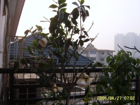 ������֦�ˣ���֪���ж���