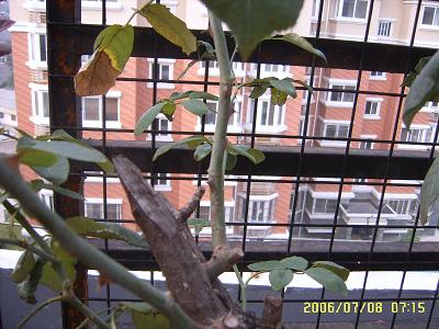 ������֦�ˣ���֪���ж���