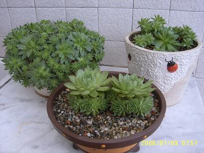 �ҵ�������
