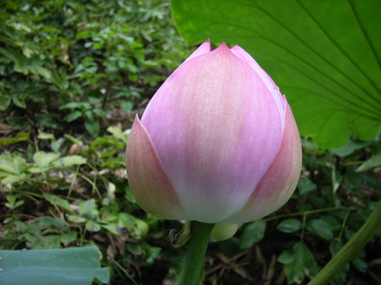 ��Ӱ��Ʒ�����������ң�