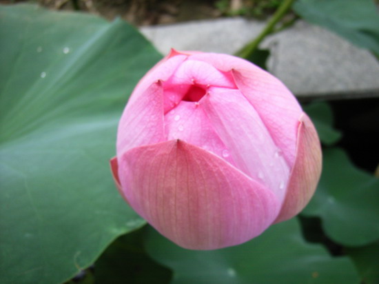 ��Ӱ��Ʒ�����������ң�