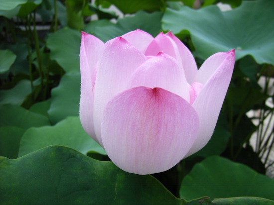 ��Ӱ��Ʒ�����������ң�