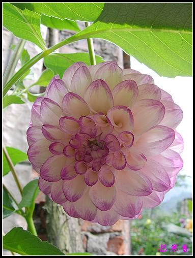 ũ��СԺ�Ĵ�����,��������������