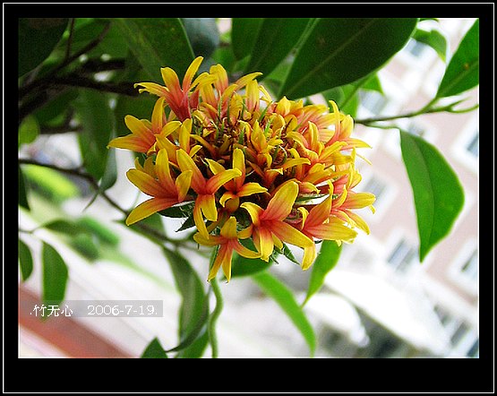 ���ȵ���������..P9,�����װ�~