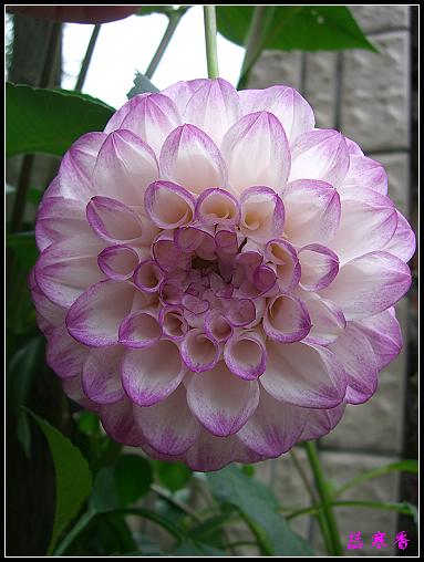 ũ��СԺ�Ĵ�����,��������������