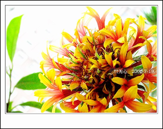 ���ȵ���������..P9,�����װ�~