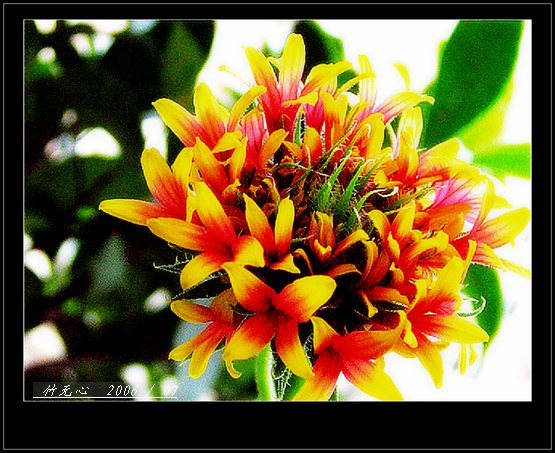 ���ȵ���������..P9,�����װ�~