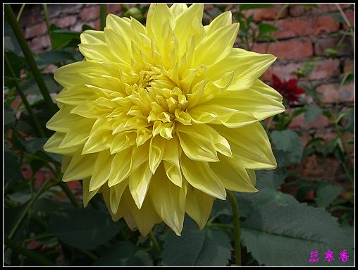 ũ��СԺ�Ĵ�����,��������������