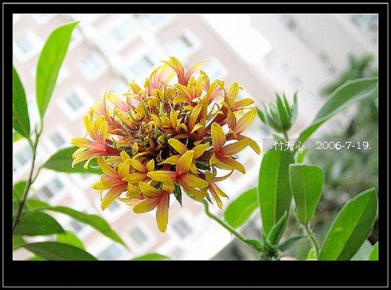 ���ȵ���������..P9,�����װ�~