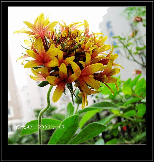 ���ȵ���������..P9,�����װ�~