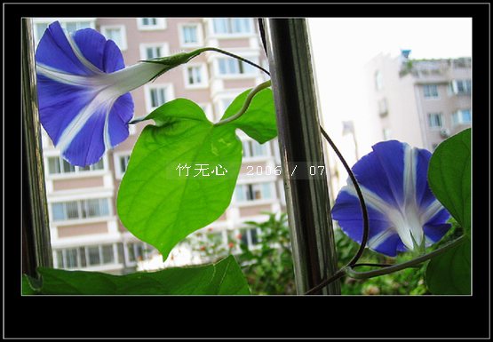 ���ȵ���������..P9,�����װ�~