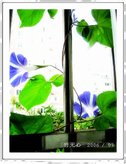 ���ȵ���������..P9,�����װ�~