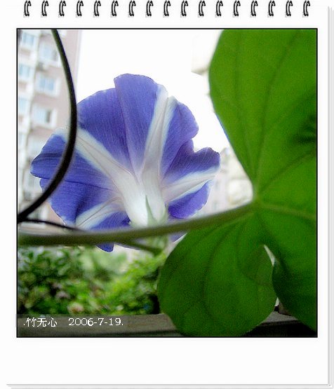 ���ȵ���������..P9,�����װ�~