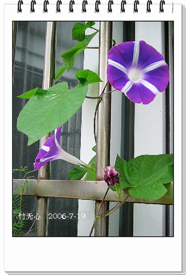 ���ȵ���������..P9,�����װ�~