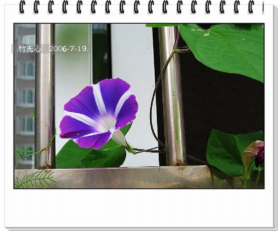 ���ȵ���������..P9,�����װ�~